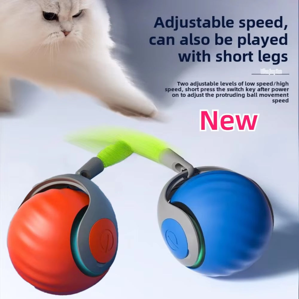 Nubbi - Pet Toy